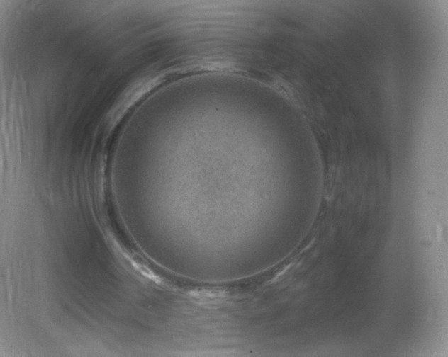 X0000082990194200702011438