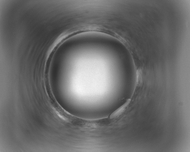 X0000082990195200702011438