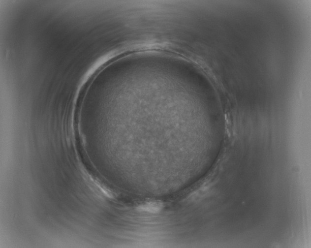 X0000082990196200702011438