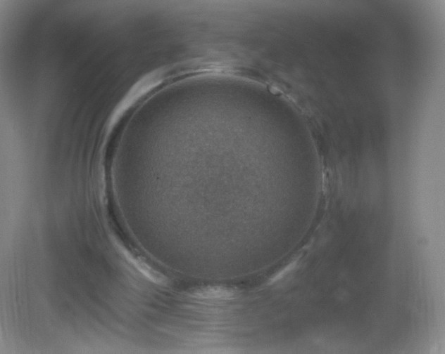 X0000082990198200702011438