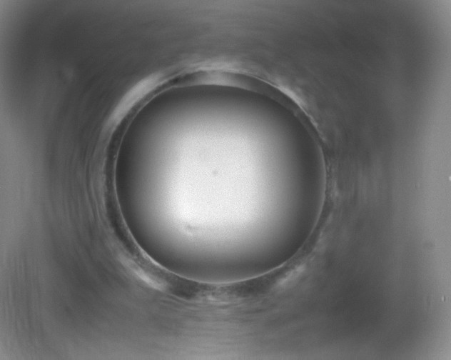 X0000082990199200702011438