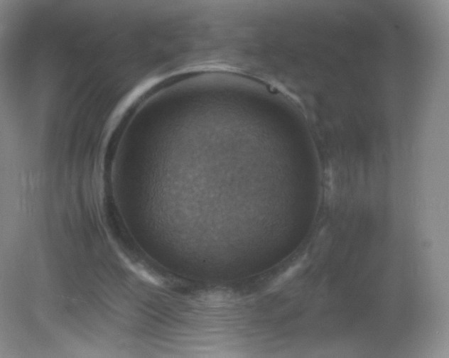 X0000082990200200702011438