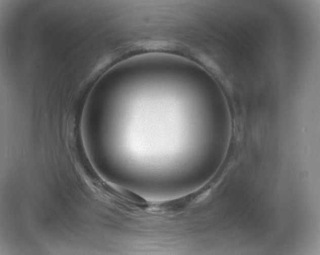 X0000082990201200702011437