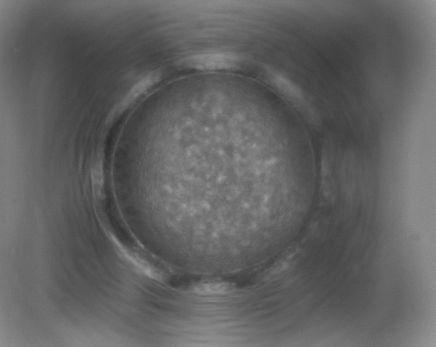 X0000082990202200702011437