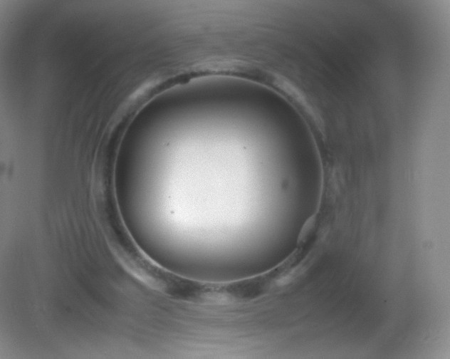 X0000082990203200702011437