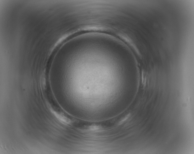 X0000082990204200702011437