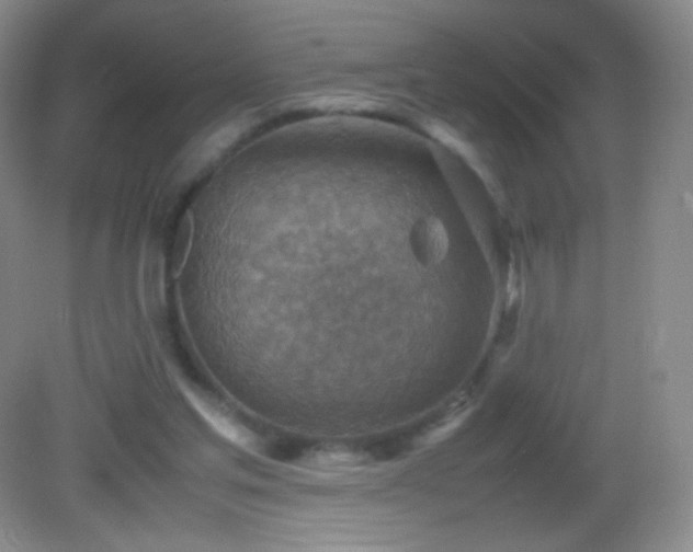 X0000082990205200702011437