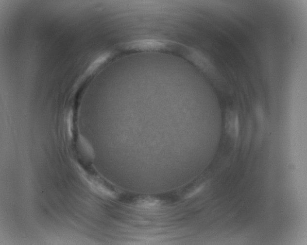 X0000082990206200702011437