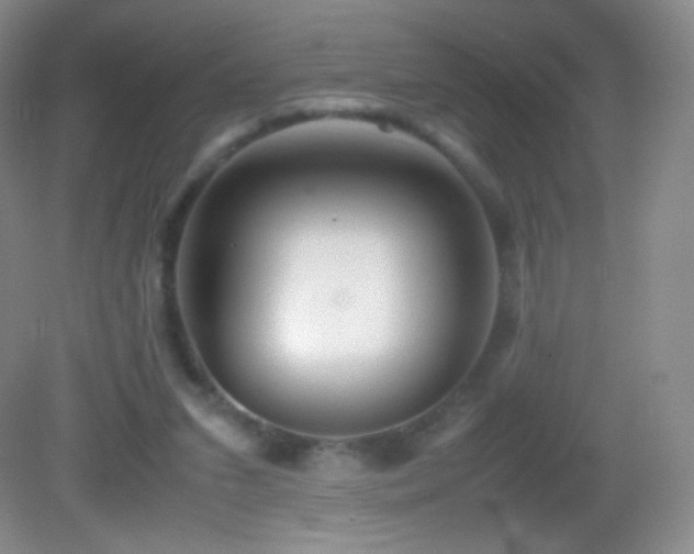 X0000082990207200702011437