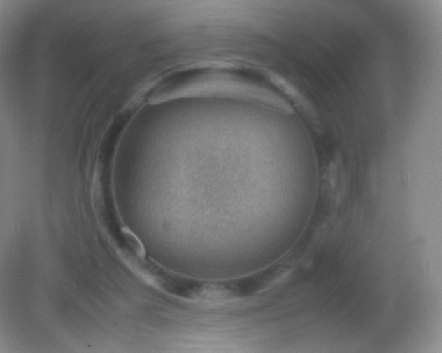 X0000082990209200702011437