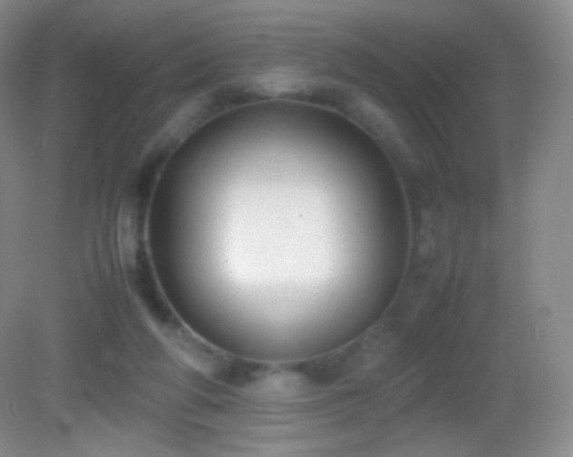 X0000082990210200702011437