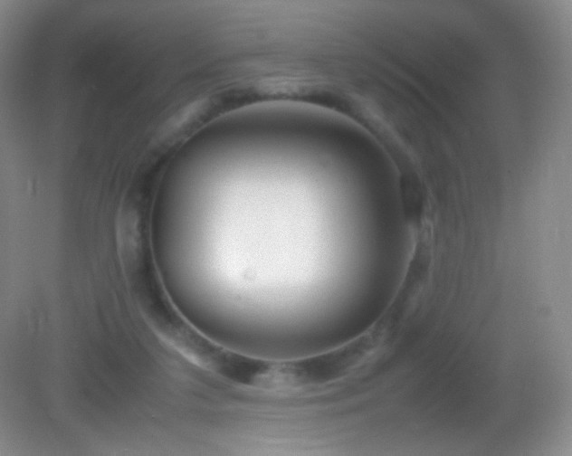 X0000082990211200702011437