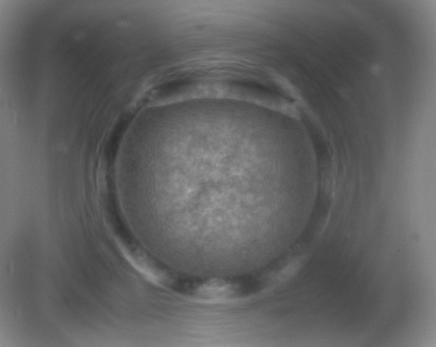 X0000082990213200702011437