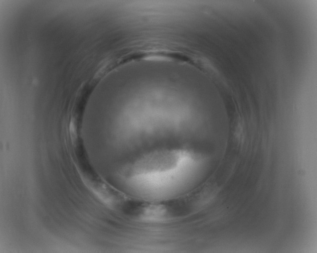 X0000082990214200702011437