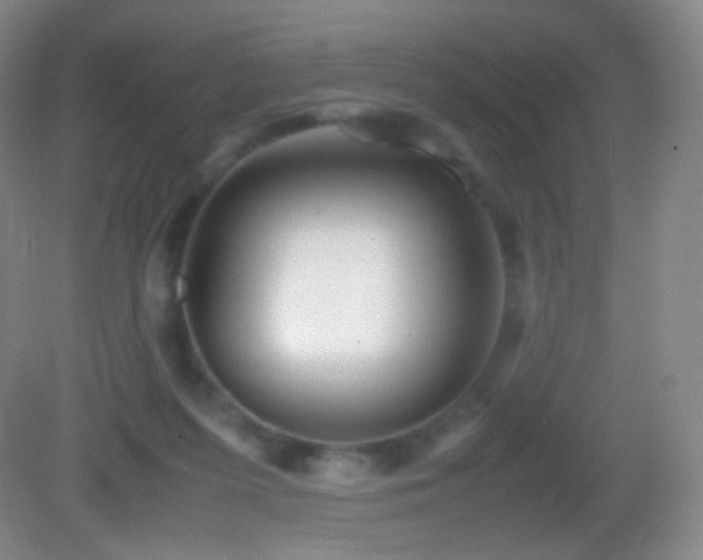 X0000082990215200702011437