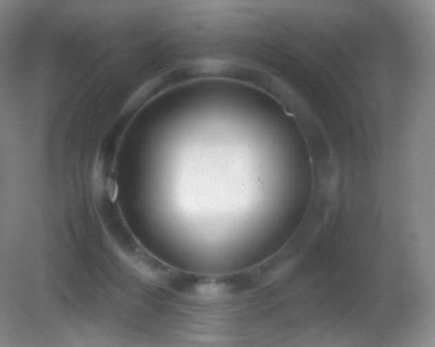 X0000082990216200702011437