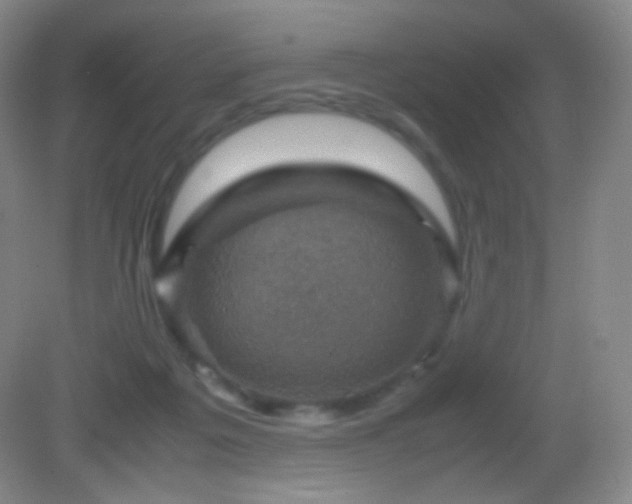 X0000082990217200702011437