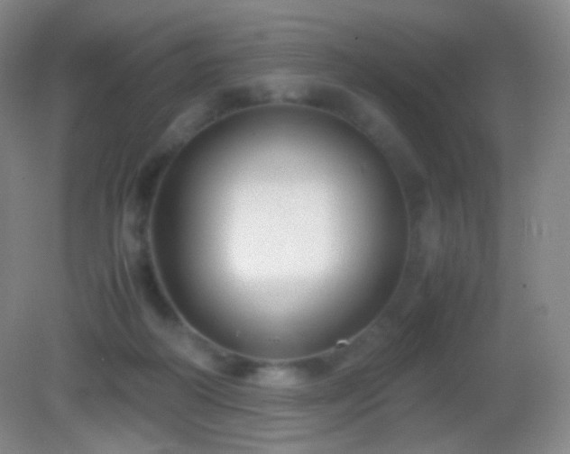 X0000082990218200702011437