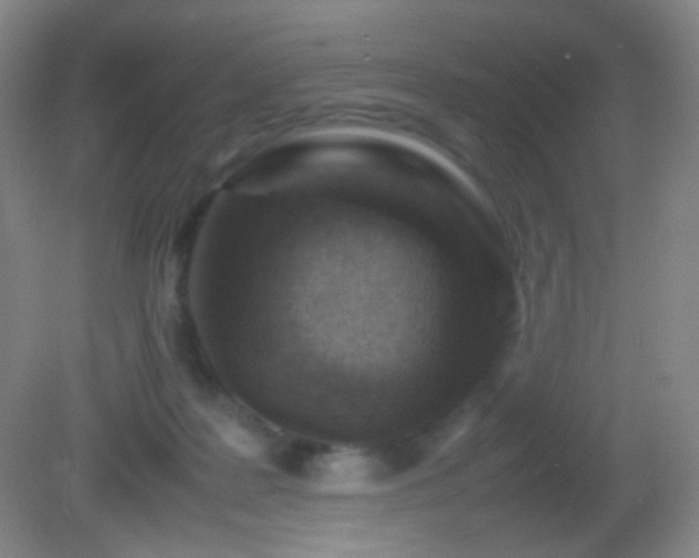 X0000082990219200702011437