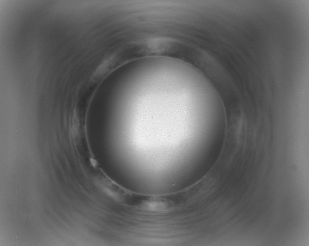 X0000082990220200702011437