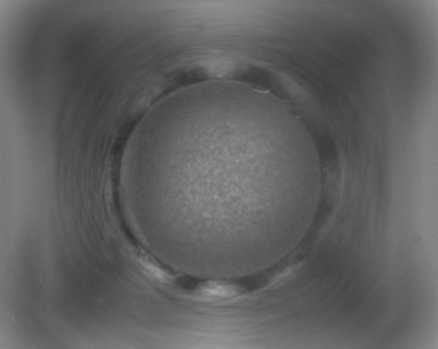 X0000082990221200702011437