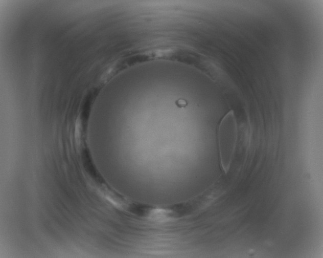 X0000082990222200702011437