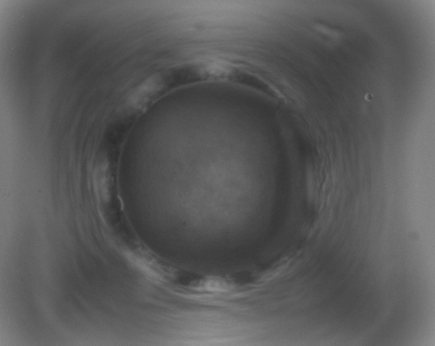 X0000082990223200702011437