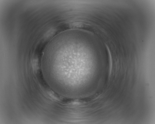 X0000082990224200702011437