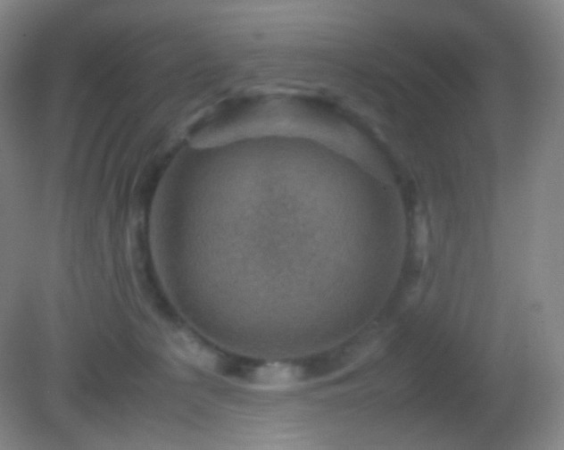 X0000082990225200702011437