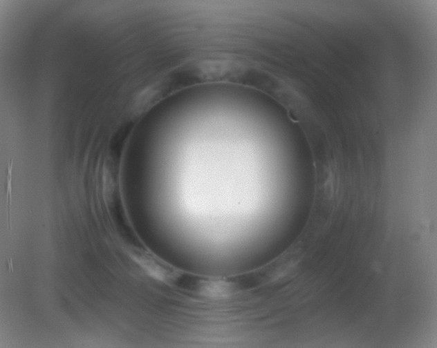 X0000082990226200702011437