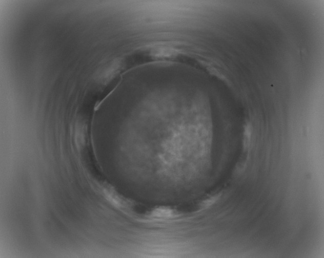 X0000082990227200702011437