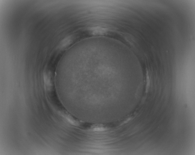 X0000082990228200702011437