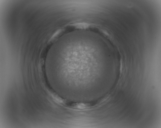 X0000082990229200702011437