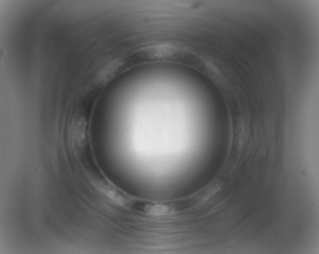 X0000082990230200702011437