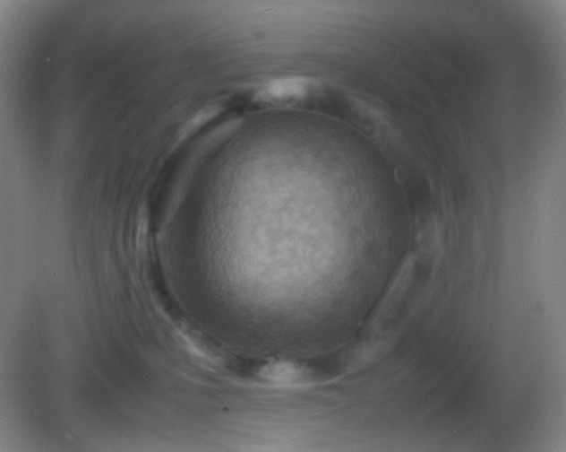 X0000082990231200702011437