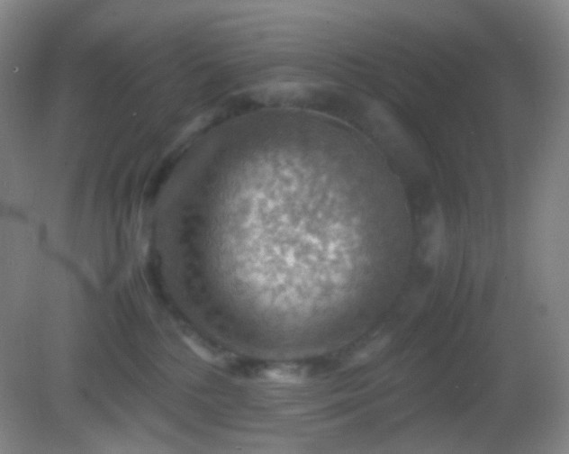 X0000082990232200702011437