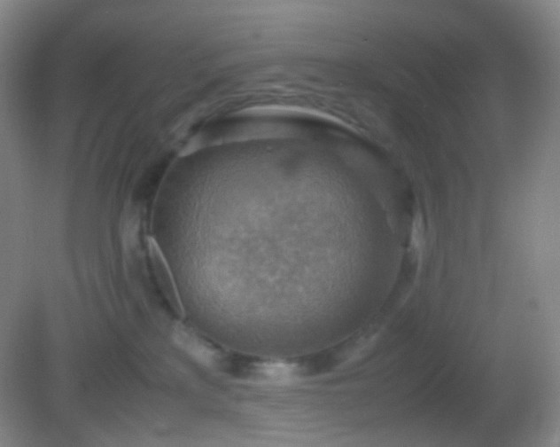 X0000082990233200702011437