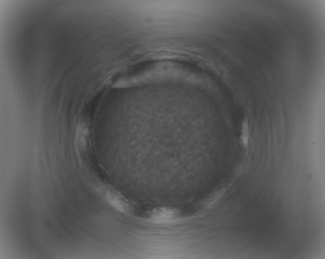 X0000082990235200702011437