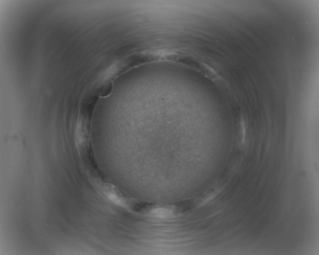 X0000082990236200702011437