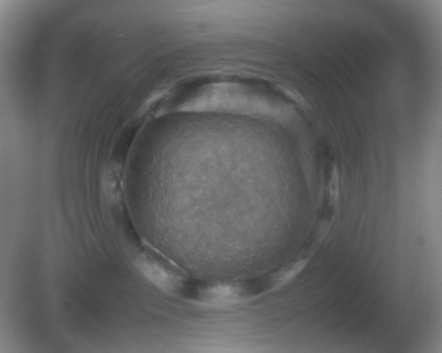 X0000082990237200702011437