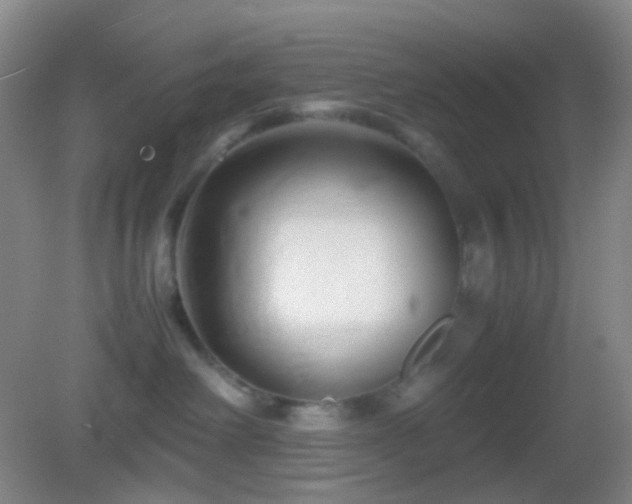 X0000082990238200702011437