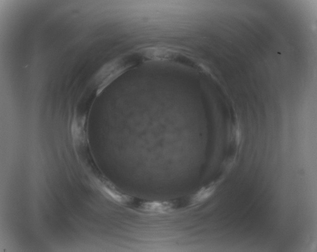 X0000082990239200702011437