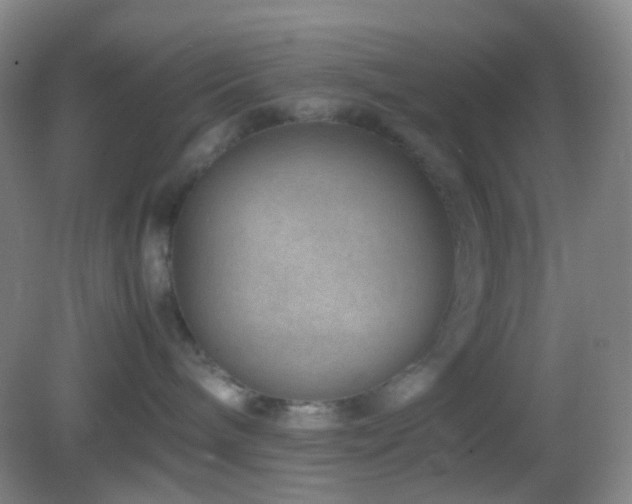 X0000082990240200702011437