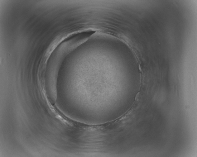 X0000082990241200702011436