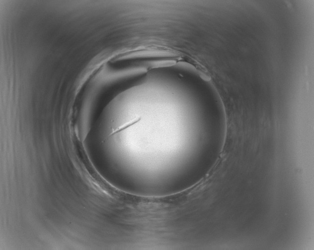 X0000082990242200702011436