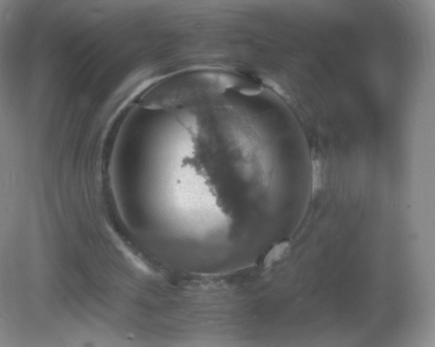 X0000082990243200702011436