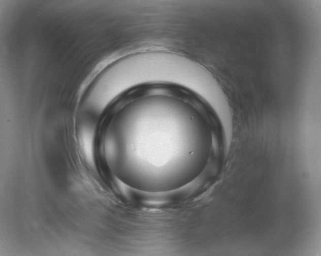 X0000082990244200702011436