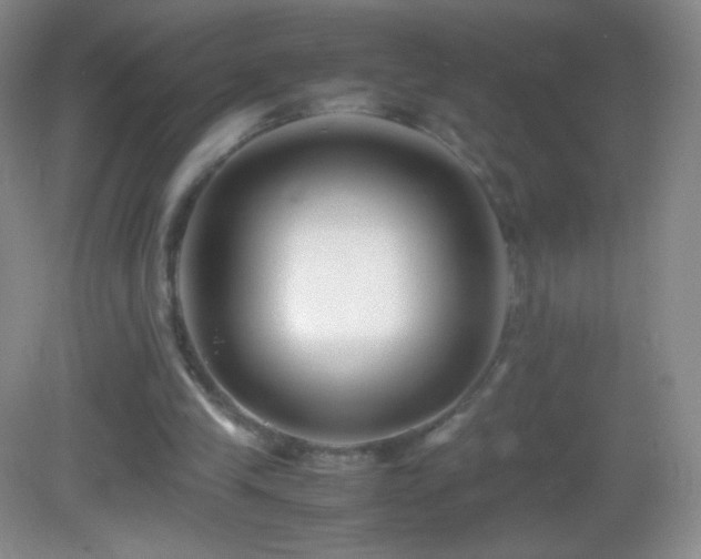 X0000082990245200702011436