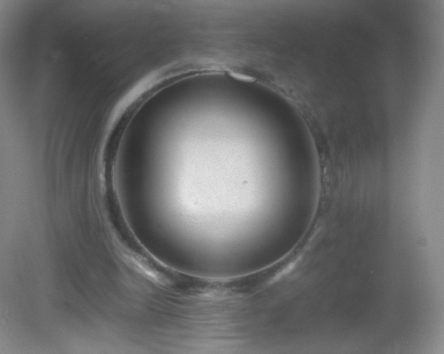 X0000082990246200702011436