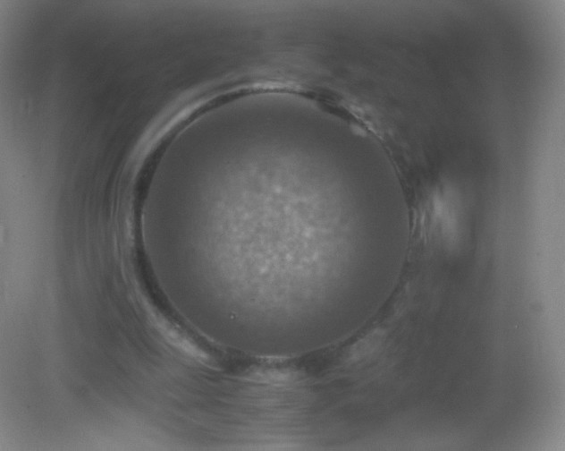 X0000082990247200702011436